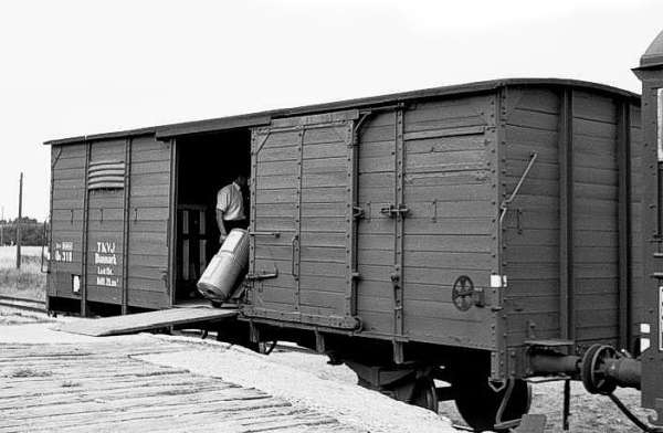 DK11626