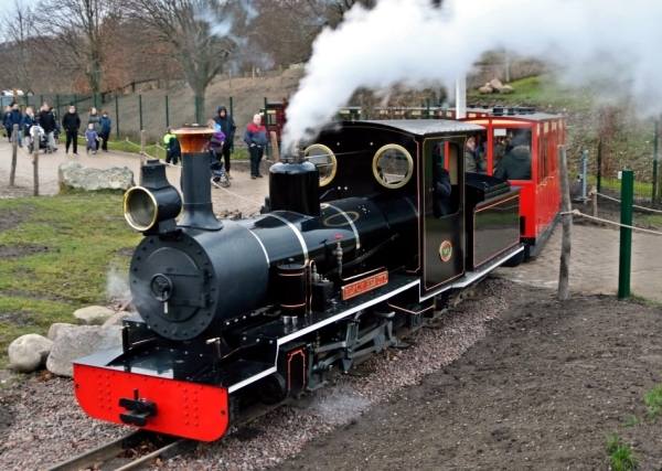DK12528