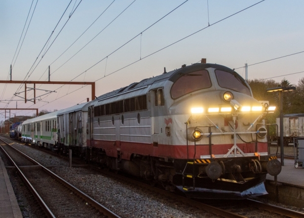 DK13176