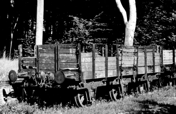 DK13216