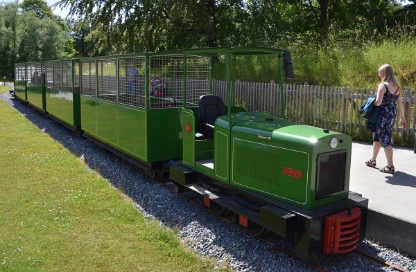 DK13305