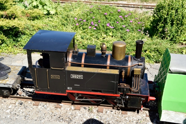 DK13320