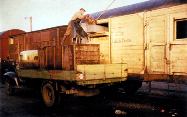 DK15333