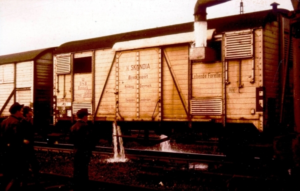 DK15335