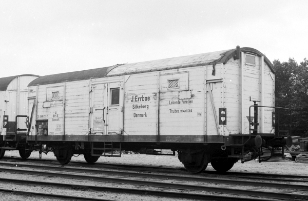 DK15696