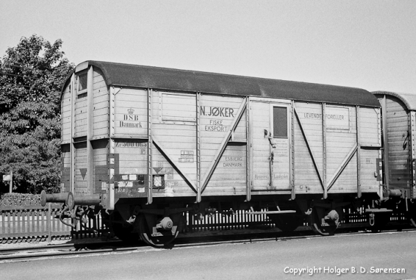 DK8097