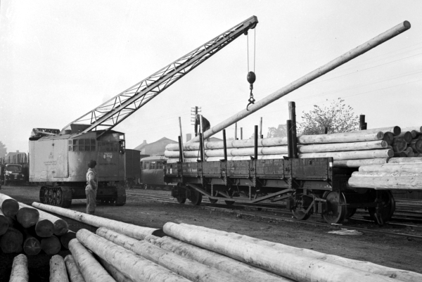 DK8613