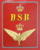 DK10095