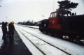 DK11501
