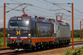 DK11554