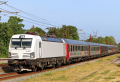 DK13239