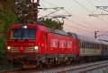 DK13298