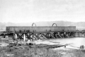 DK13344