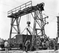 DK13795