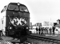 DK13851