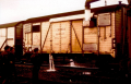 DK15335