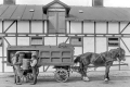 DK15547