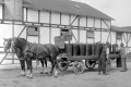 DK15548