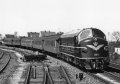DK15806