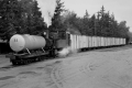 DK3918