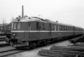DK7919