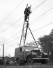 DK8419