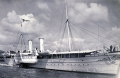 DK8469