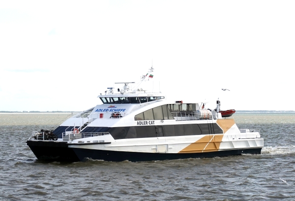 DK15204